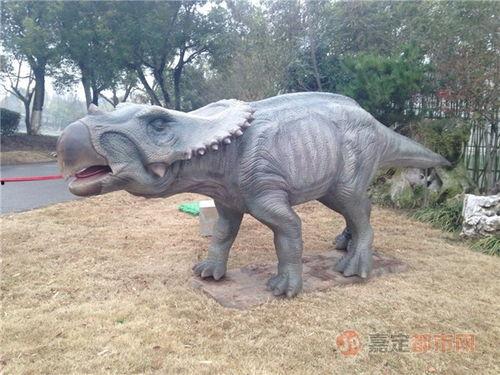 有网友爆料恐龙的视频吗,恐龙重现人间？网友热议神秘恐龙视频  第3张